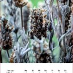 Naturkalender Frank Schindelbeck 2018