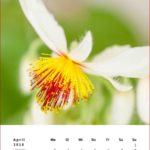 Naturkalender Frank Schindelbeck 2018