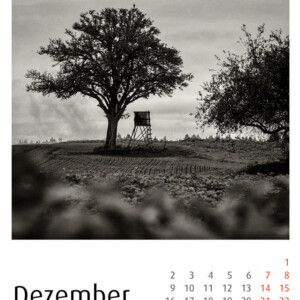Hochsitzkalender 2024 - Schindelbeck Fotografie