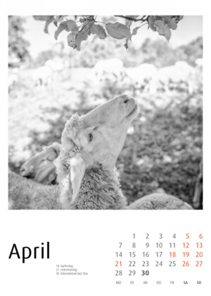 Schindelbeck Fotokalender 2025