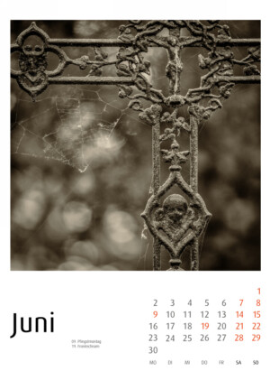 Bergfriedhof Heidelberg - Fotokalender - Fotos: Frank Schindelbeck
