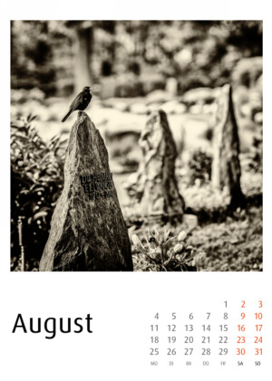 Bergfriedhof Heidelberg - Fotokalender - Fotos: Frank Schindelbeck