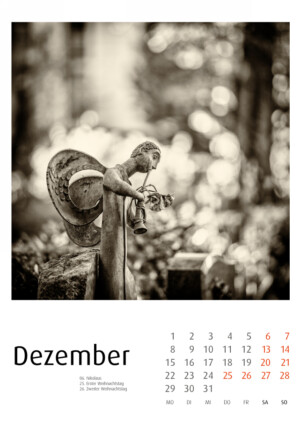 Bergfriedhof Heidelberg - Fotokalender - Fotos: Frank Schindelbeck