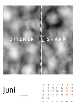 fixcel records Cover - Kalender 2026