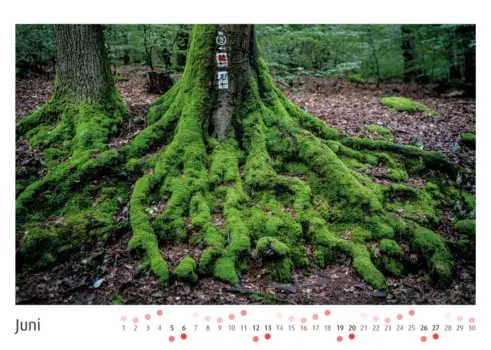 Odenwald Fotokalender - Frank Schindelbeck Fotografie